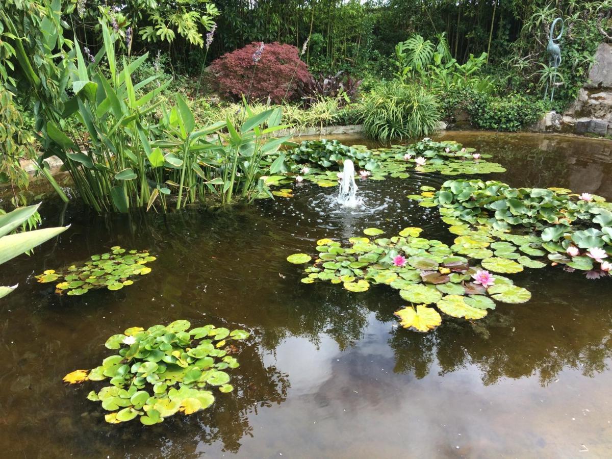 Quinta Das Pedras Belas Dış mekan fotoğraf